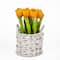 10" Tulip Bouquet in White Basket